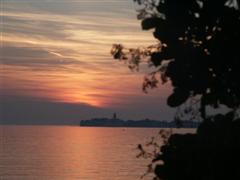 Sonnenuntergang mit Pflanze